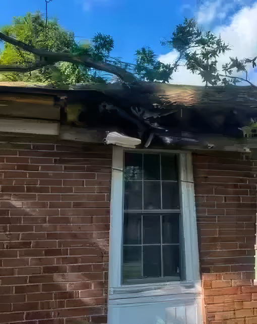 A tree fallen across the roof edge of a brick house